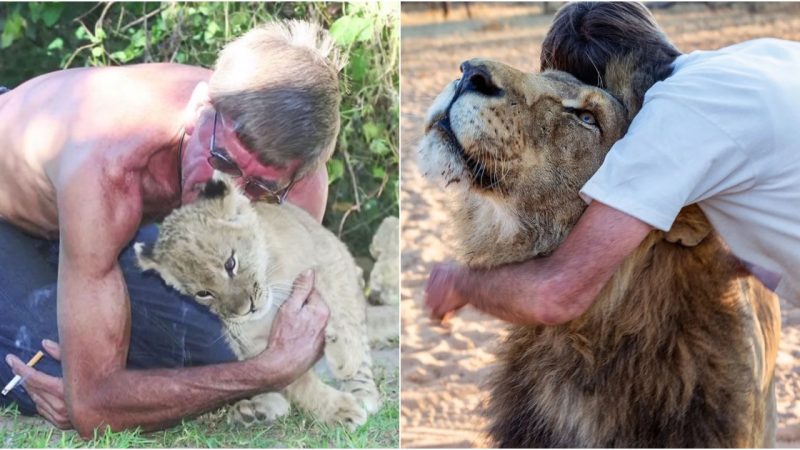 Heartwarming Tale of Friendship: The Unlikely Bond Between Frikkie Von Solms and Zion the Lion