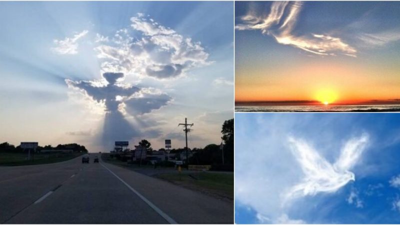 Unveiling Celestial Wonders Enchanting Creatures and Sacred Shapes in the Cloud-kissed Sky