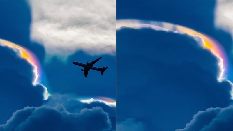 Discovering the Enchanting Iridescent Pileus: A Rare Phenomenon in the Sky