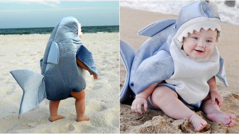 Adorable baby shark: Most popular on social networks right now